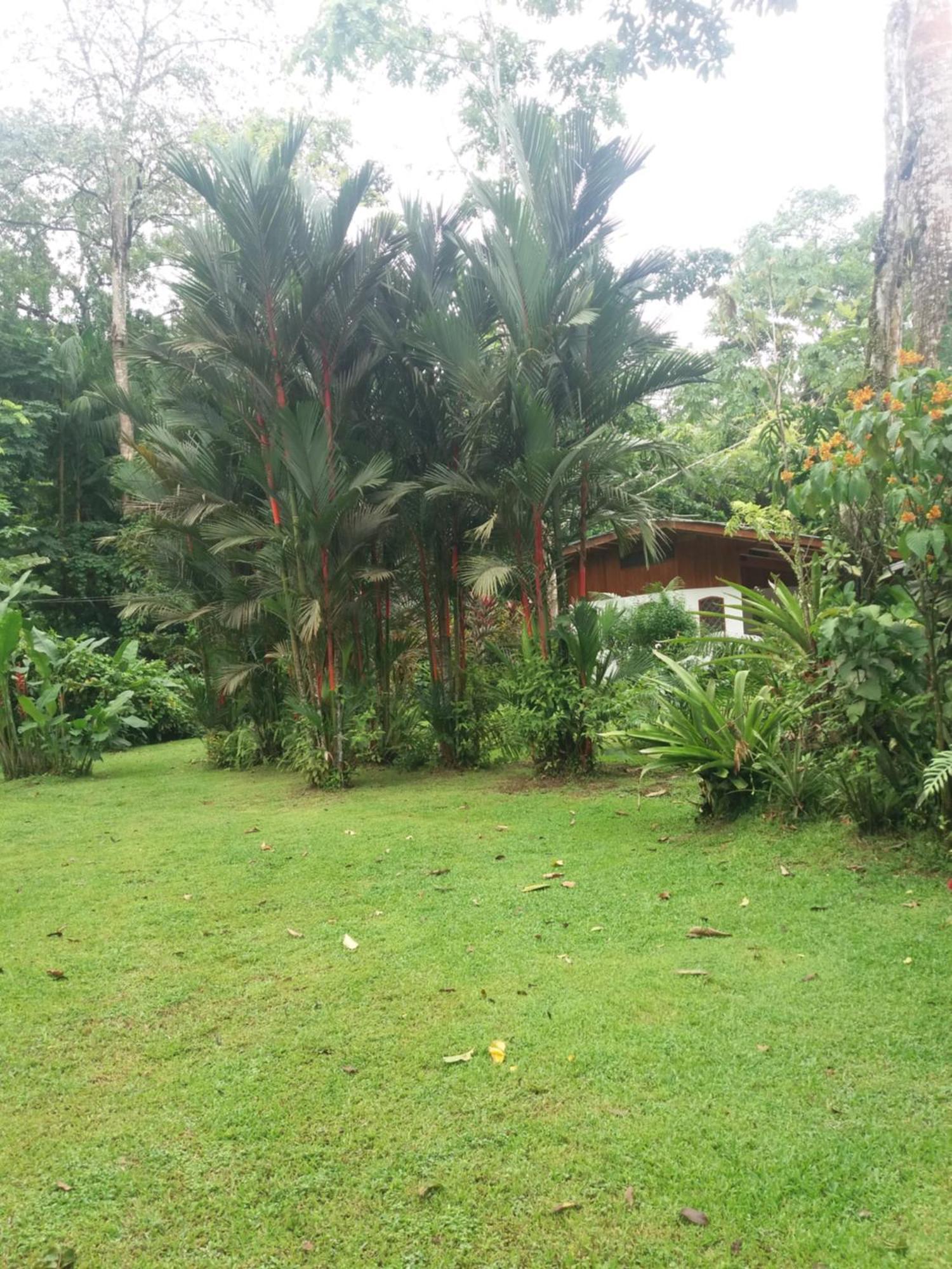 Los Delfines Lodge Puerto Viejo de Talamanca Kültér fotó